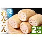 fu.... налог [ предшествующий предварительный заказ ] мытье renkon 2kg{ отправка прямой перед тем .. делать доставка!} автомобиль ki. считая . зуб ..! | иметь машина удобрение низкий пестициды лотос корень лотос овощи.. Fukui префектура ... город 