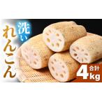 fu.... налог [ предшествующий предварительный заказ ] мытье renkon 4kg{ отправка прямой перед тем .. делать доставка!} автомобиль ki. считая . зуб ..!| иметь машина удобрение низкий пестициды лотос корень лотос овощи корнеплоды.. Fukui префектура ... город 