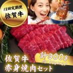 牛肉 ステーキ 定期便12回 佐賀牛サイコロステーキ