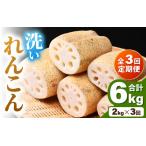 fu.... налог < установленный срок рейс 3 раз > мытье renkon 2kg{ отправка прямой перед тем .. делать доставка!} автомобиль ki. считая . зуб ..!| иметь машина удобрение низкий пестициды лотос корень лотос овощи корень.. Fukui префектура ... город 