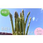 fu.... налог [ предшествующий предварительный заказ ] свежий! весна .. зеленый спаржа L размер 1kg восток гора сельское хозяйство место Hokkaido каштан гора блок 