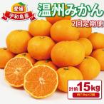 みかん定期便 温州みかん 2回 計15kg