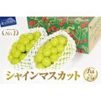 fu.... налог тщательно отобранный автомобиль in мускат 1kg и больше 2026 год отправка предшествующий предварительный заказ Yamanashi префектура производство автомобиль in мускат Yamanashi префектура Fuji Yoshida город 