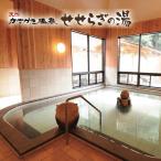 温泉入湯券 天然かさがた温泉せせらぎの湯