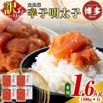 明太子 訳あり 辛子明太子 並切 1.6kg