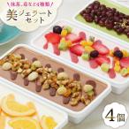 アイス 美 ジェラート セット 500ml×4個