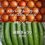 スーパーフルーツトマト 大箱 約3kg