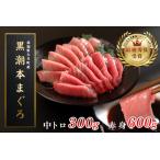 ふるさと納税 【12/23までの寄附で年内発送】 マグロ まぐろ 本マグロ 刺身 赤身 中トロ 2種 900g 養殖 本まぐろ さしみ 刺し身 ネギトロ ねぎと.. 高知県大月町