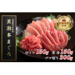 ふるさと納税 【12/23までの寄附で年内発送】 マグロ まぐろ 本マグロ 刺身 赤身 中トロ ぶつ切り 3種 600g 養殖 本まぐろ さしみ 刺し身 ネギト.. 高知県大月町