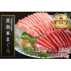 ふるさと納税 【12/23までの寄附で年内発送】 マグロ まぐろ 本マグロ 刺身 赤身 中トロ 大トロ 3種 450g 養殖 本まぐろ さしみ 刺し身 ネギトロ.. 高知県大月町