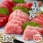 絶品 生本マグロ堪能セット 大トロ 50g