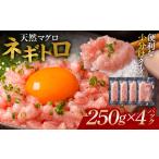 ふわとろネギトロ粗挽き+ネギトロ専用の特選だし醤油