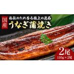 ふるさと納税 うなぎ 蒲焼き セット 220g (110g×2本) ／Esu-A92 高知県四万十町