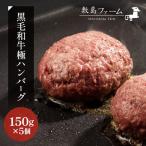 那須高原 敷島和牛手作りハンバーグ 150g×5個