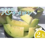 ふるさと納税 【高知県 大月町産】田村農園のパンナメロン 2玉 高知県大月町