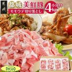 都城美鮮豚切り落とし4kgセット 200g×20パック