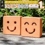 ニコニコレンガ 1箱2個入 都城産レンガ