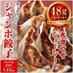 ふるさと納税 餃子専門店 宇都宮 悟空 ジャンボ餃子24個入 ※離島への配送不可| 餃子 冷凍 ぎょうざ ギョーザ 大容量 肉たっぷり 肉多め ジャ.. 栃木県宇都宮市