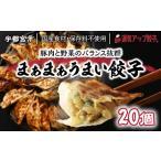 ふるさと納税 宇都宮餃子 まあまあウマイ餃子 20個 保存料不使用【 餃子 ぎょうざ 冷凍餃子 冷凍食品 惣菜 栃木県 宇都宮市 】※配送不可地域.. 栃木県宇都宮市