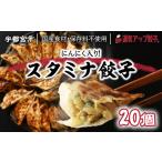 ふるさと納税 宇都宮餃子 ニンニクマシマシ スタミナ餃子 20個 保存料不使用【冷凍餃子 ぎょうざ ギョウザ 冷凍食品 惣菜 栃木県 宇都宮市 】.. 栃木県宇都宮市