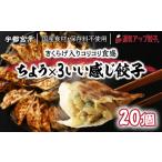 ふるさと納税 宇都宮餃子 ちょう×3いい感じ餃子 20個 保存料不使用【 餃子 ぎょうざ 冷凍餃子 冷凍食品 惣菜 栃木県 宇都宮市 】※配送不.. 栃木県宇都宮市