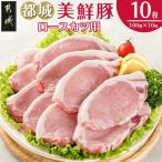 都城美鮮豚ロースカツ用10枚セット 豚
