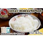 産お米セット 特別栽培米 まっしぐら みよこ米 10kg