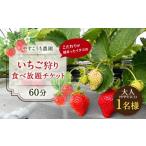 いちご狩り 食べ放題チケット60分 大人