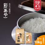 長谷川農園 彩 令和8年産 10kg