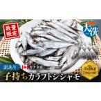 ふるさと納税 【数量限定!】 子持ち カラフトシシャモ 3kg (500g×6袋) 訳アリ シシャモ ししゃも カラフトししゃも 大洗 規格外 訳あり わ.. 茨城県大洗町