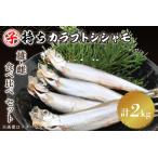 ふるさと納税 ししゃも雄雌食べ比べ 2ｋｇ セット 訳アリ シシャモ ししゃも カラフトししゃも 大洗 規格外 訳あり わけあり 傷_AV013 茨城県大洗町