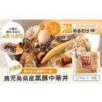 AS-044 黒豚 中華丼の具 4ハ ゚ック