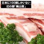 K1040 塚原牧場の幻の豚 梅山豚 バラブロック 約4.5kg