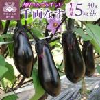 fu.... налог баклажан ( тысяч обе ..) 5kg Yamanashi префектура Koufu город 