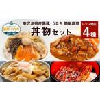 ふるさと納税 AS-341 鹿児島県産 黒豚・うなぎ 簡単調理（丼物）セット（レンジ対応） 豚丼 中華丼 うなぎ 蒲焼 カレー レンジ 簡単 調理 鹿児島県薩摩川内市