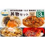 ふるさと納税 CS-809【毎月3ヶ月 : 定期便】鹿児島県産 黒豚・うなぎ 簡単調理（丼物）セット（レンジ対応）豚丼 中華丼 うなぎ 蒲焼 カレ.. 鹿児島県薩摩川内市