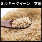 ミルキークイーン 玄米 5kg