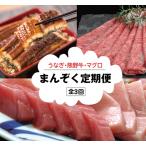 贅沢定期便 うなぎ 高級和牛 本マグロ