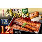 IS-210 産無頭特大うなぎ蒲焼約190g×2尾×6回