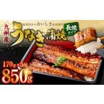 九州産 無頭うなぎ蒲焼 約170g×5尾