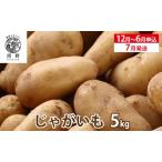 吉名のまるきっちゃん じゃがいも 5kg+400g