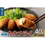 ふるさと納税 高田水産 「情の雫」冷凍かきフライ 10個×4パック　国産 お惣菜 簡単調理 お取り寄せ グルメ 牡蠣 カキ ku010-005-r 広島県呉市