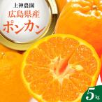 先行受付 2027年1月中旬~発送 ポンカン 約5kg