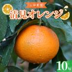 先行受付 2027年3月上旬~発送の清見オレンジ 約10kg