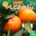 先行受付 2026年12月中旬~発送開始