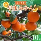 先行受付 2026年11月中旬~発送 早生みかん 約10kg