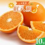 先行受付 2027年3月上旬~発送 紅八朔 約10kg