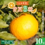 先行受付 2027年4月上旬~発送 甘夏3種類詰め合わせ 約10kg