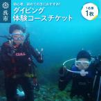 体験 ダイビングコース 1ダイブ チケット