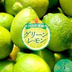 先行受付 2026年11月上旬~発送 グリーンレモン3kg